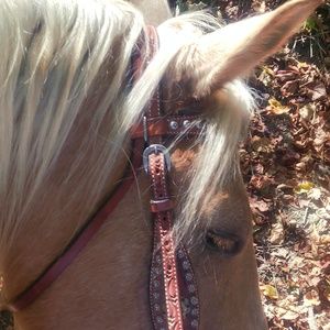 Meet your Posher, Tracy